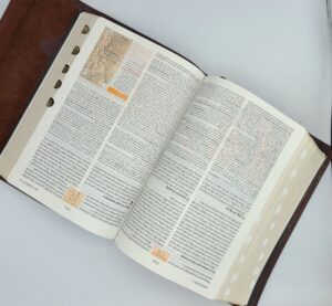Biblia de estudio Teológico