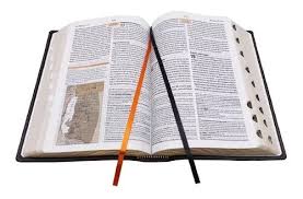 Biblia de estudio Teológico