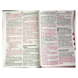 Biblia RVR 60 LETRA SUPERGIGANTE ROSA FUCSIA