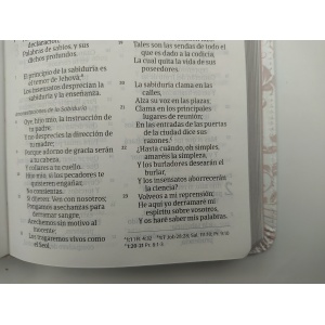 Biblia para quinceañera