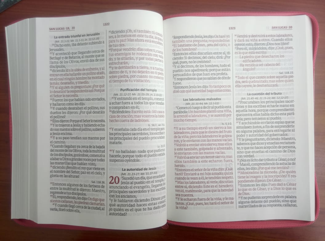 Biblia Letra Gigante RVR086